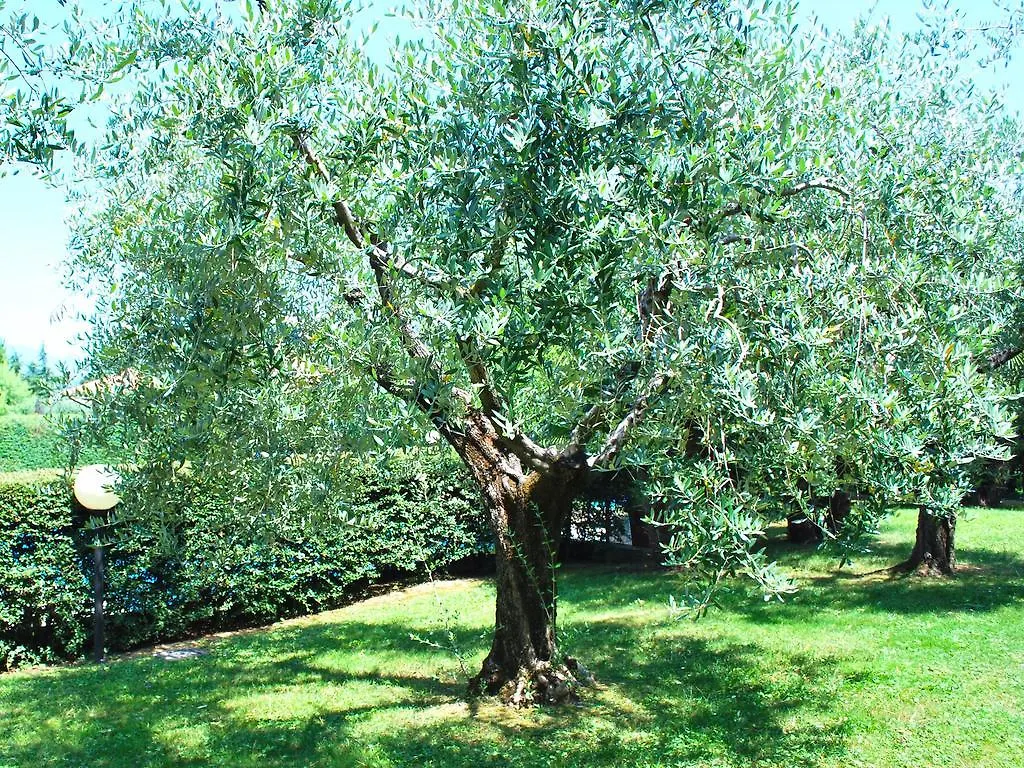 Apartment Corte Degli Olivi Appartamenti Manerba del Garda